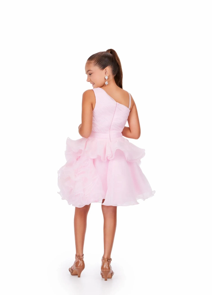 Ashley Lauren Style #8251 Kids A-Line Organza Cocktail Dress #5 default backface vertical picture