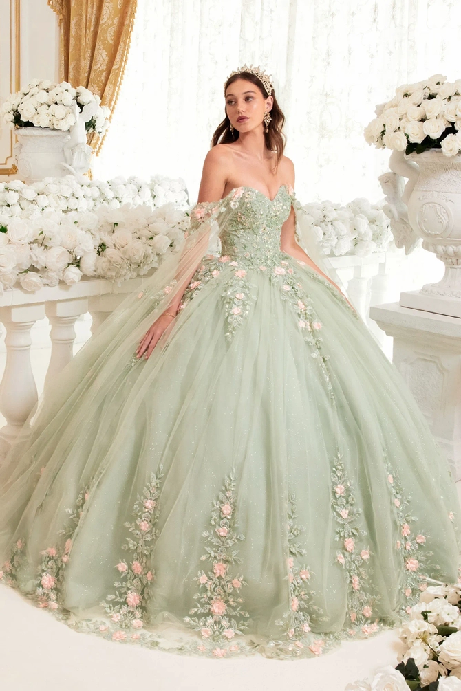Cinderella Divine C148C Ladivine A Line Lace & Tulle Gown