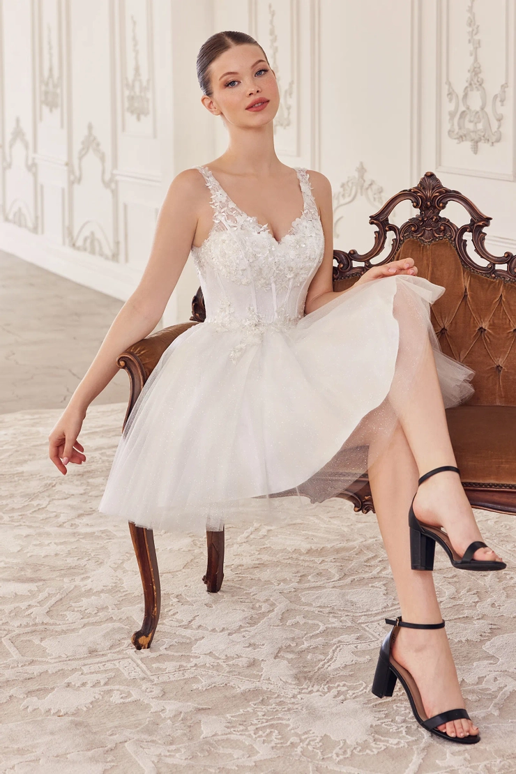 knee length quinceanera dresses CY019 - Ladivine by Cinderella Divine light purple knee length dress