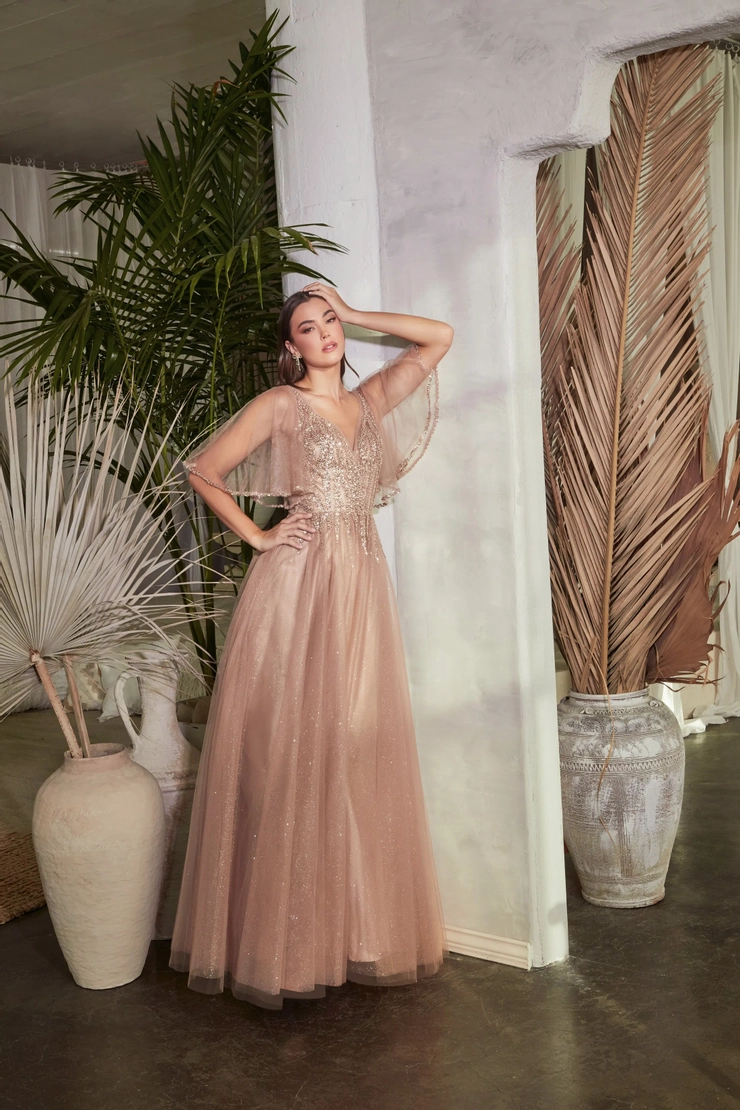 Ladivine by Cinderella Divine Style #CD0175 #1 frontface vertical picture