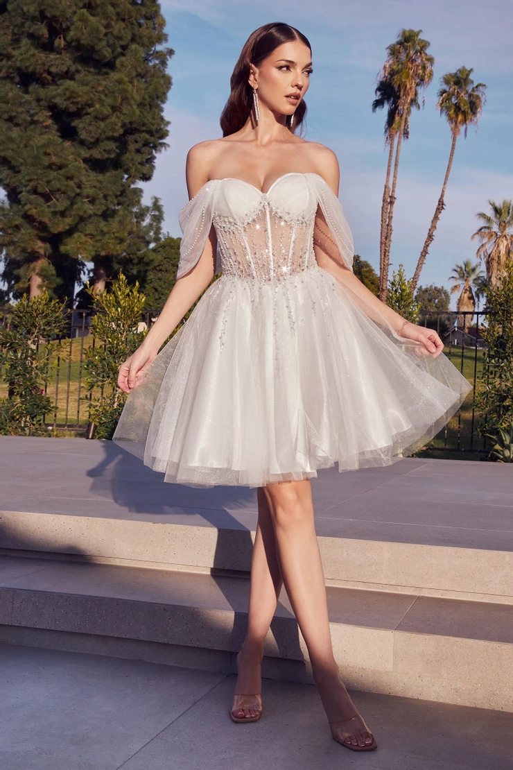 Ladivine by Cinderella Divine Style #CD0211 #1 frontface vertical picture