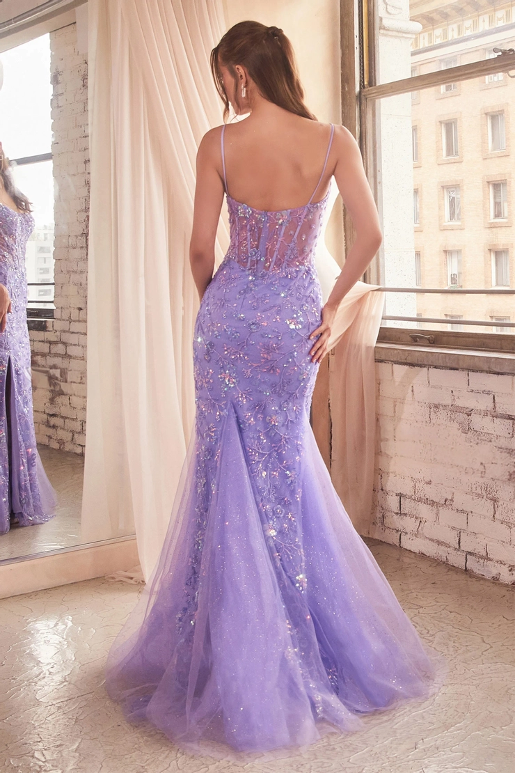 fitted lace wedding dress Cinderella Divine T603 – nvme clothing main image 0
