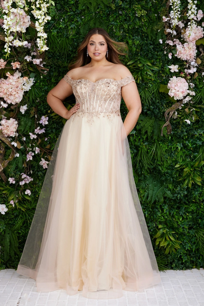 8847__d_f.670.webp