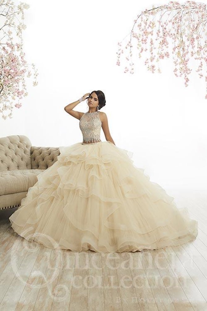 Quince - 26882 | Regiss Quince - 26882 | Regiss