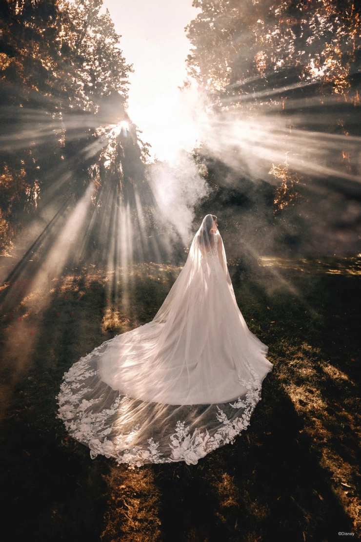 Disney Fairytale Weddings | Signature Bridal Salon - D417 | Signature Bridal Salon Disney Fairytale Weddings | Signature Bridal Salon - D417 | Signature Bridal Salon