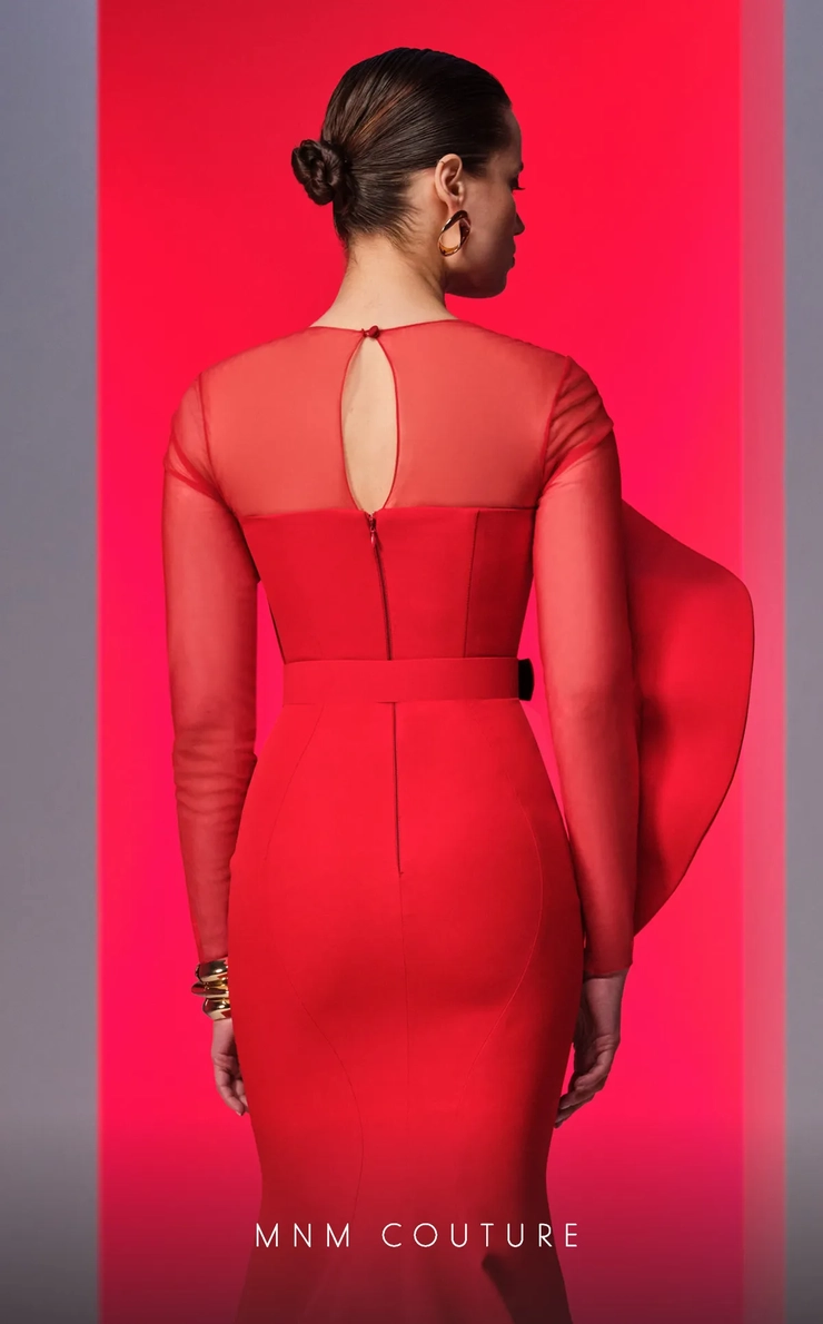 MNM Couture Style #N0613 #4 backface vertical cropped picture