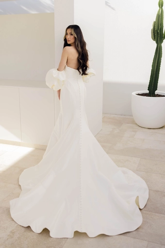 Zavana Couture  ZC22488 #2 backface vertical thumbnail