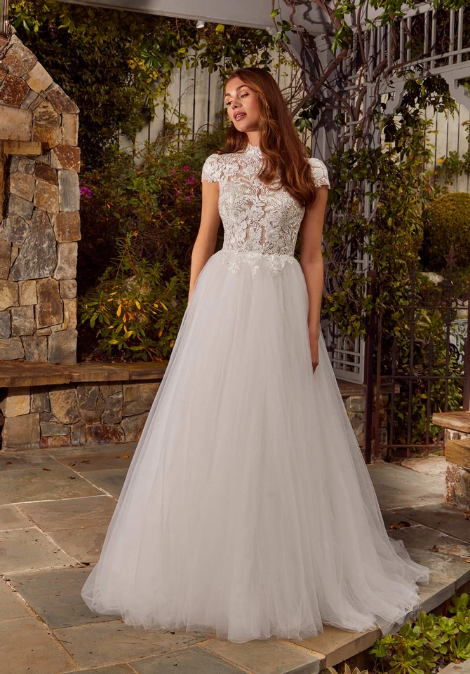 4478__d_f.670.webp