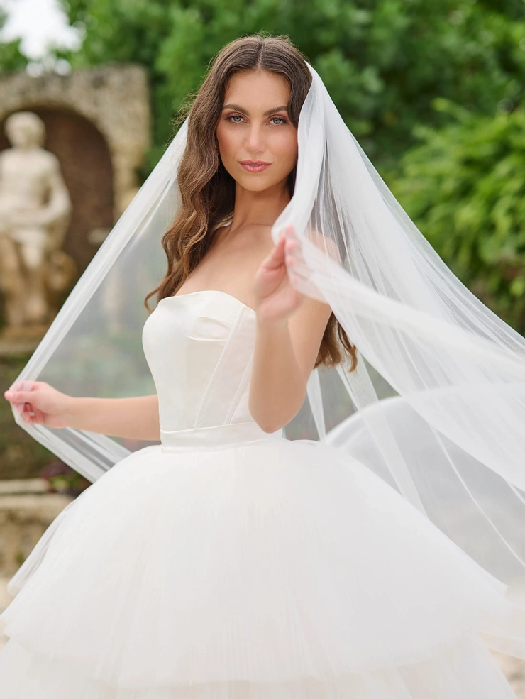 Christina Wu Brides Style #15880 #6 frontface vertical cropped picture