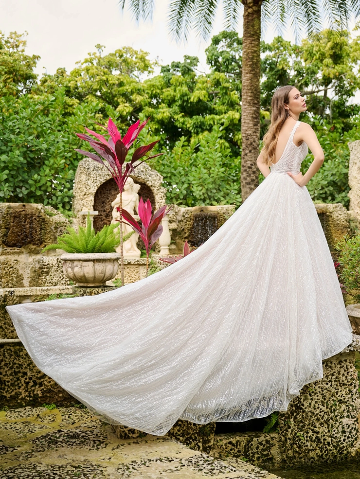 Christina Wu Brides Style #15881 #1 default backface vertical picture