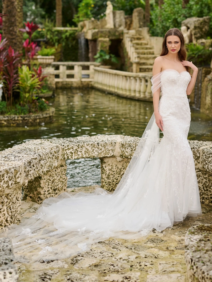 Christina Wu Brides Style #15883 #1 frontface vertical picture