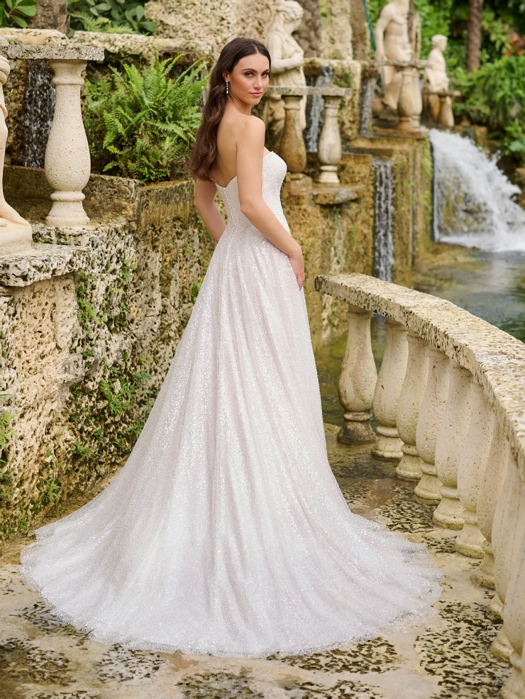 Christina Wu Brides Style #15884 #1 default backface vertical picture
