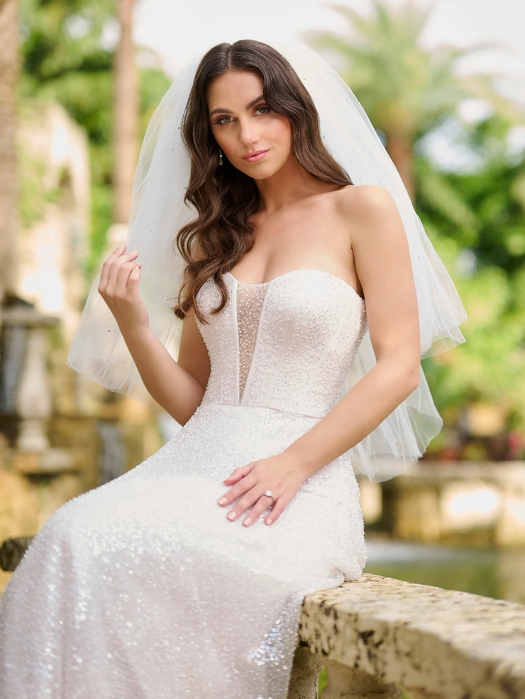 Christina Wu Brides Style #15884 #3 frontface vertical cropped picture