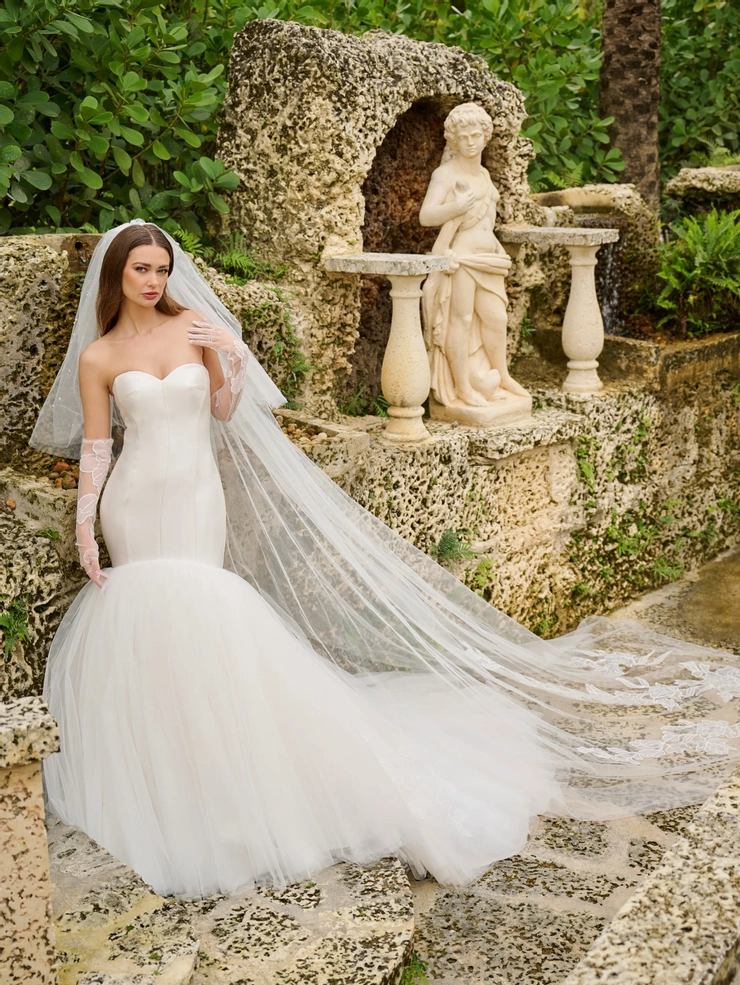 Christina Wu Brides Style #15899 #1 frontface vertical picture
