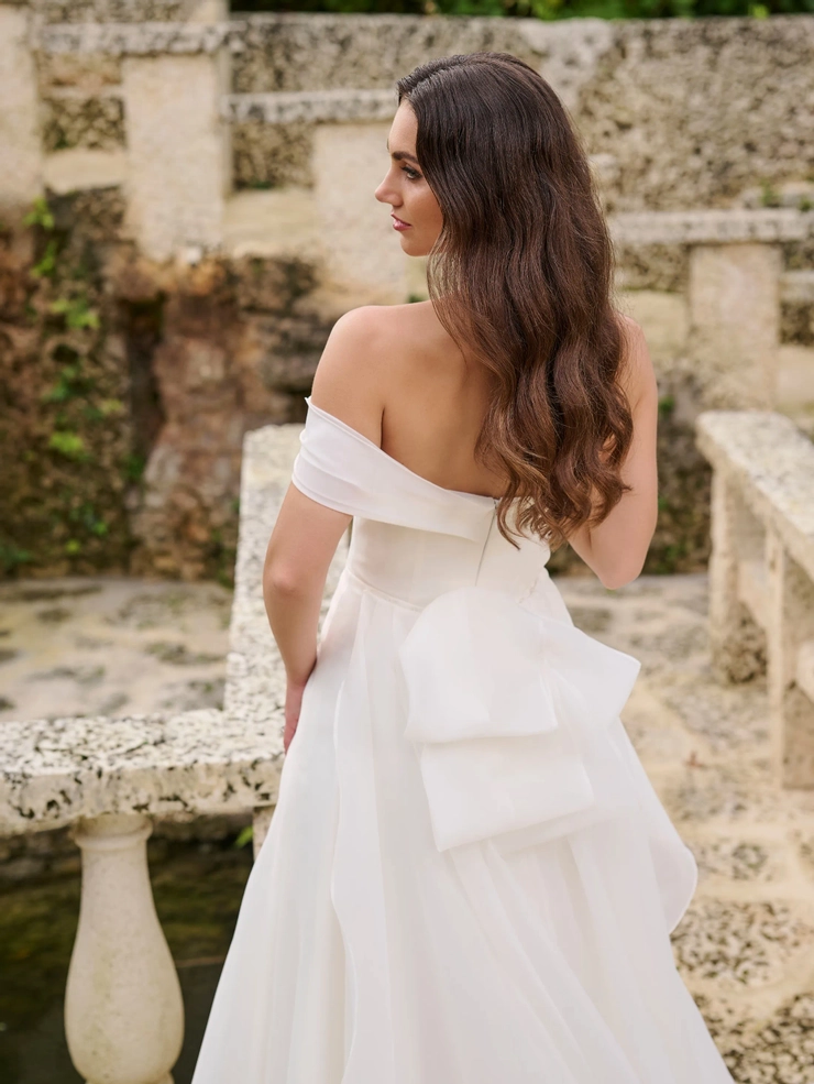 Christina Wu Brides Style #15900 #3 backface vertical cropped picture