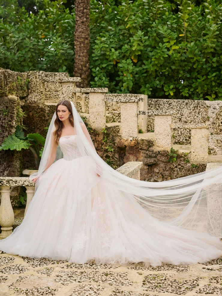 Christina Wu Brides Style #15901 #1 frontface vertical picture