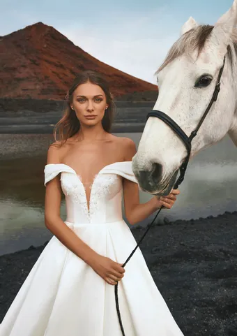 Pronovias Iguazu #2 vertical thumbnail