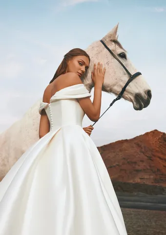 Pronovias Iguazu #3 vertical thumbnail