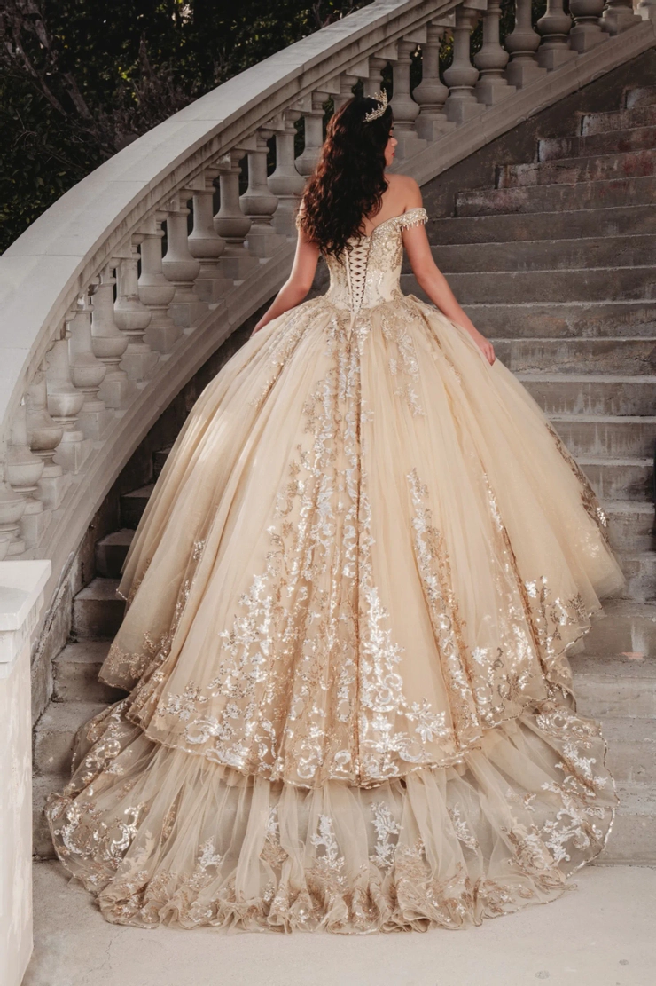 AmaBella Quinceanera Style #Q1000 #1 default Gold backface vertical picture