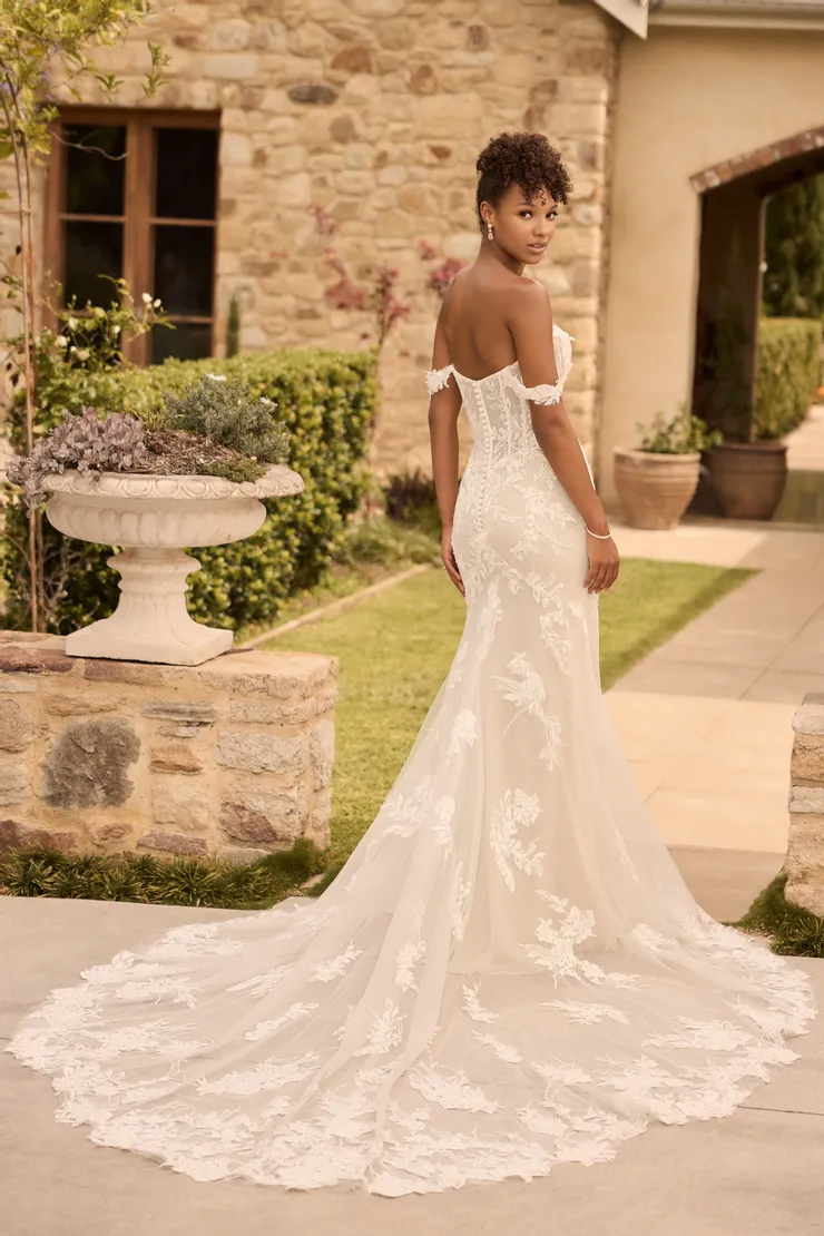 Sophia Tolli Backface Thumbnail Image