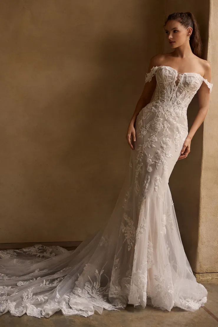 Sophia Tolli Style #Y3160 #1 frontface vertical picture