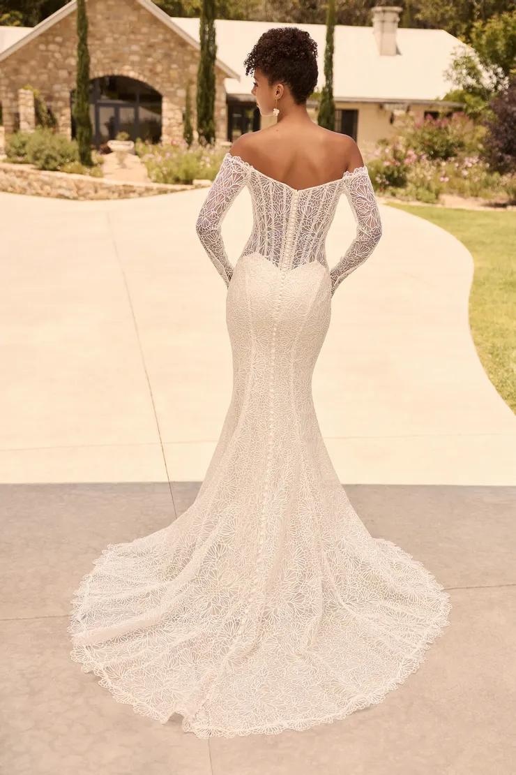 Sophia Tolli Backface Thumbnail Image
