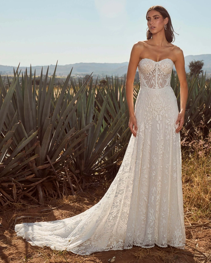 La Perle - LP2446 | White Lace and Promises