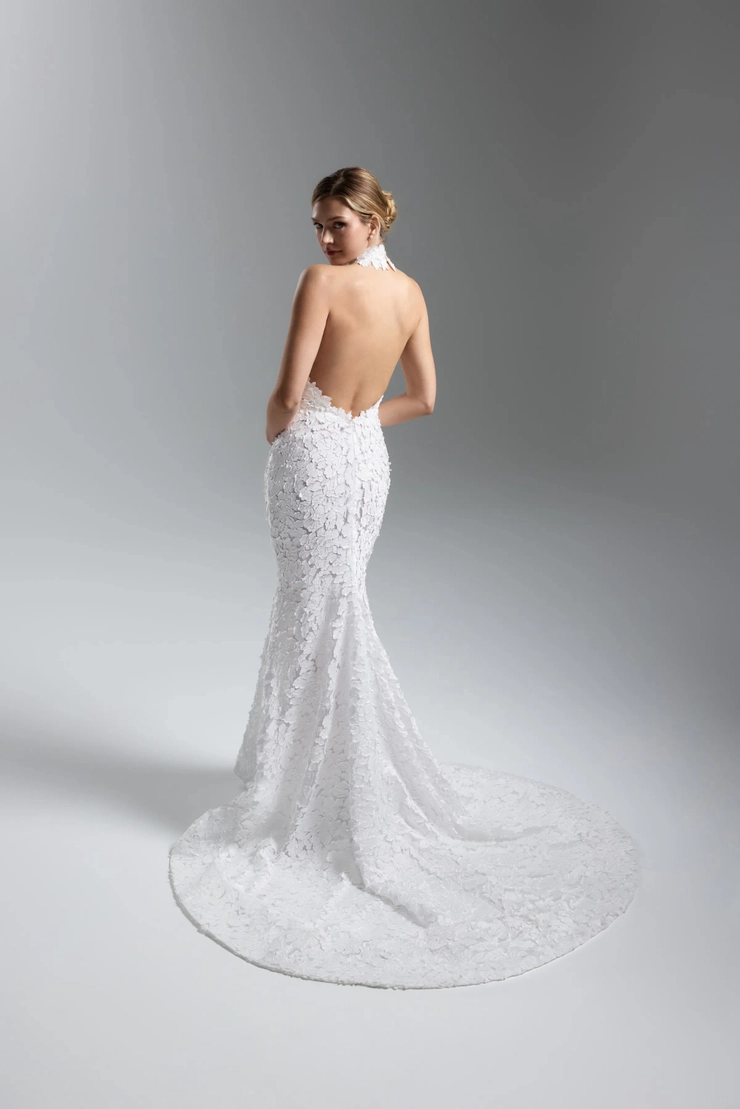 Lazaro 32501