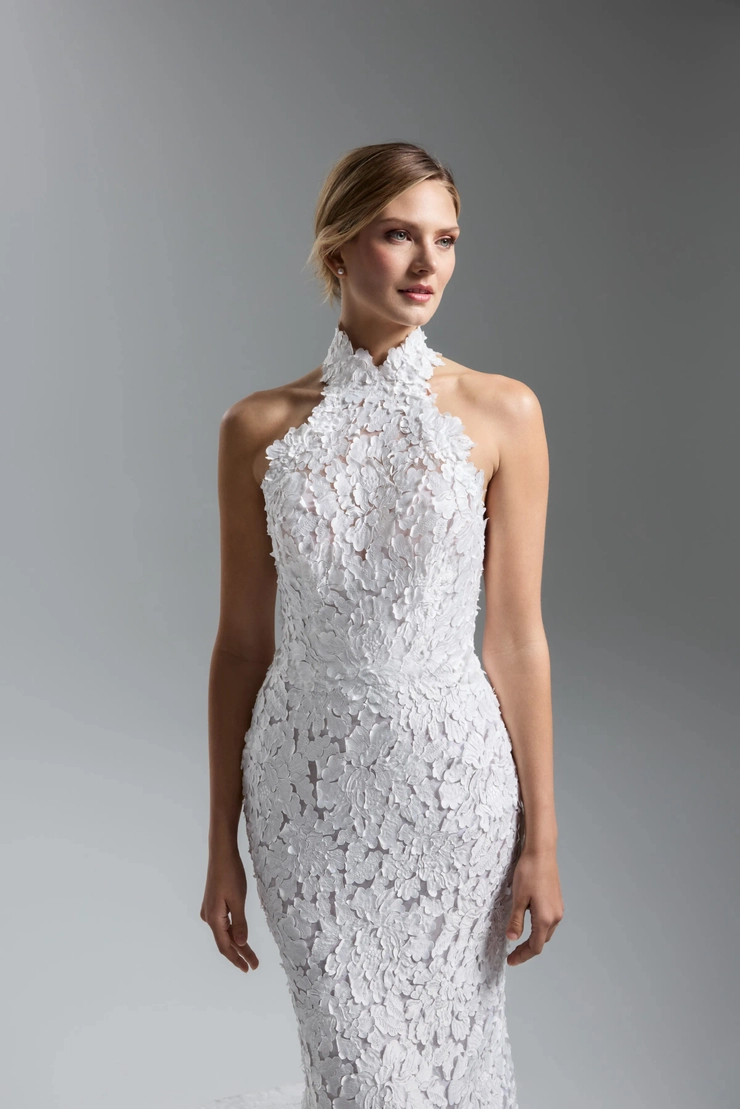 Lazaro 32501