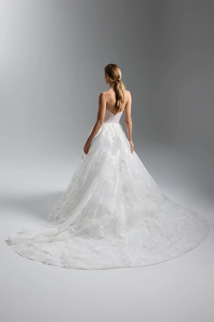 Lazaro 32503