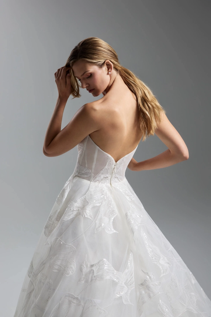 Lazaro 32503