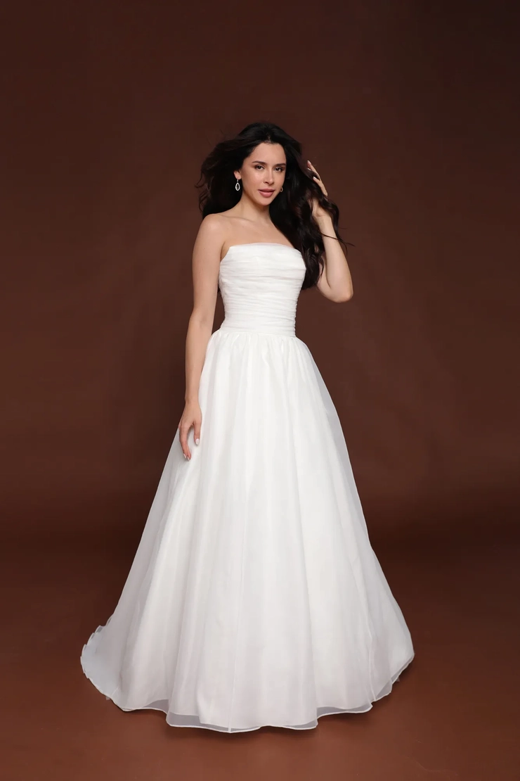 Robert Bullock Meadowlark Default Image