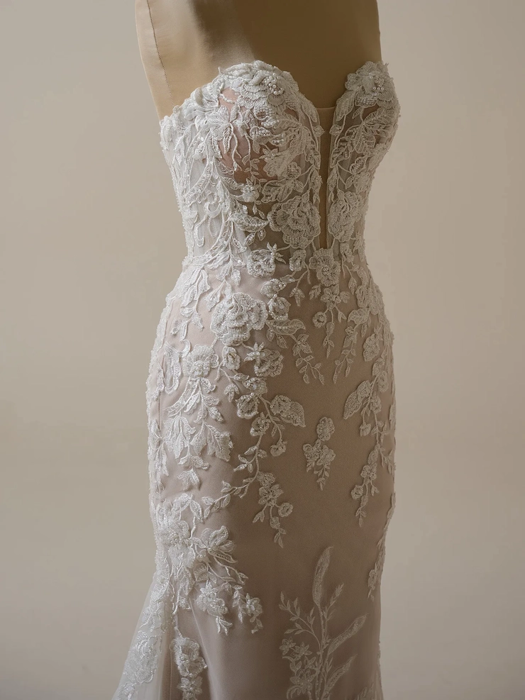 Rebecca Ingram Tegan 25RK291