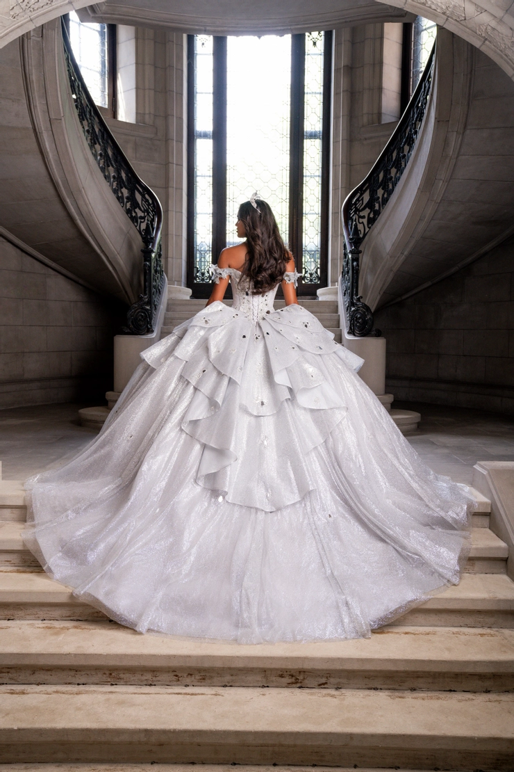 AmaBella Quinceanera Style #Q1020 #1 default Silver backface vertical picture