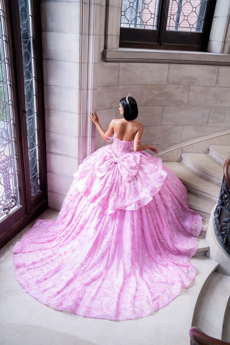 AmaBella Quinceanera Style #Q1021 #1 default Pink backface vertical picture