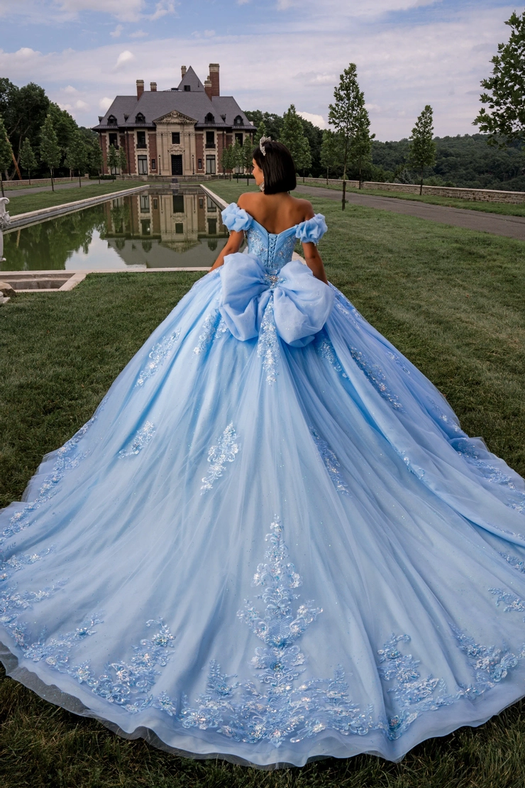 AmaBella Quinceanera Style #Q1028 #1 default Blue backface vertical picture