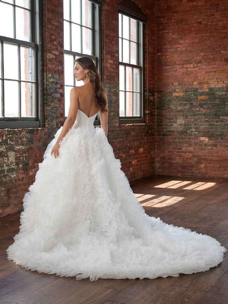 Christina Wu Brides Style #15905 #1 default backface vertical picture