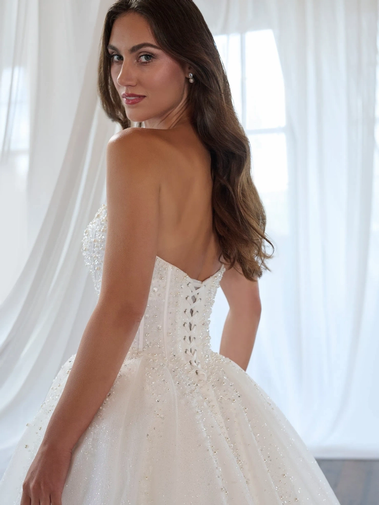 Christina Wu Brides Style #15913 #3 backface vertical cropped picture