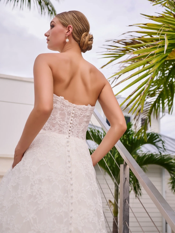 Adrianna Papell Platinum Style #31313 #3 backface vertical cropped picture