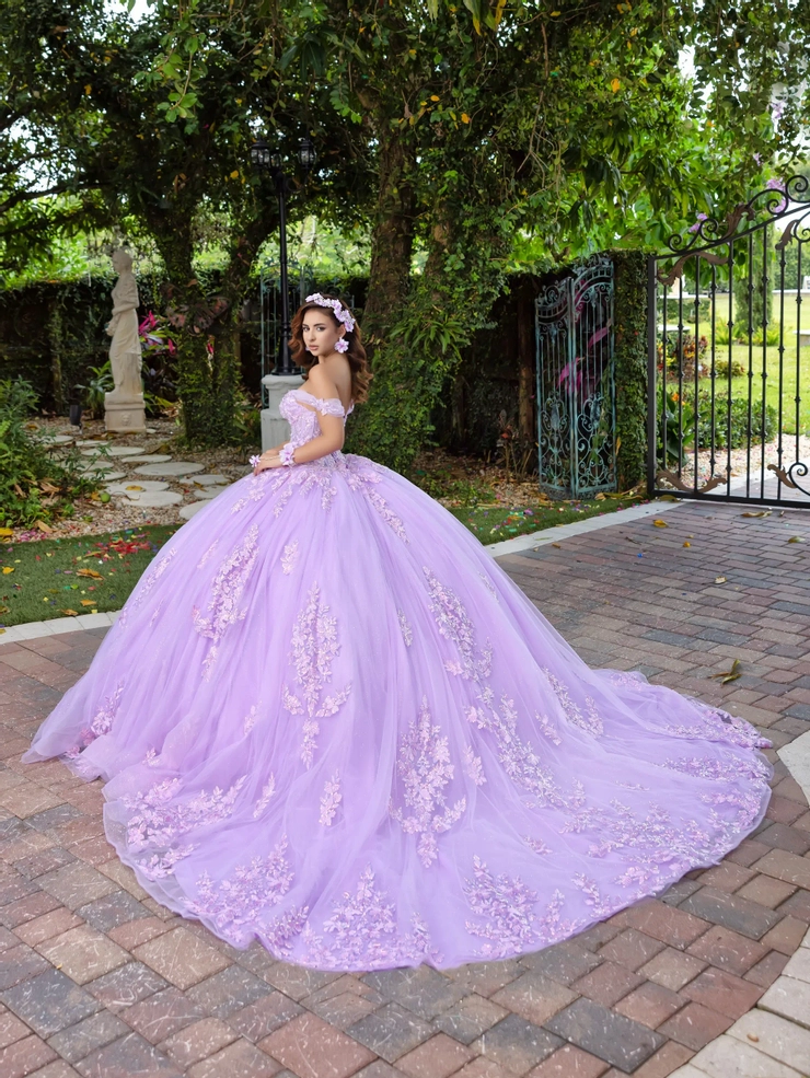 Fiesta - 56529 | Regiss