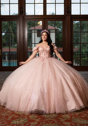 Vizcaya by Morilee 89523 Floral Embroidered Tulle Ball Gown Draped Bodice Quinceanera Dress with Three Dimensional Flowers #0 default frontface vertical thumbnail