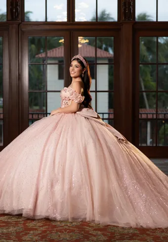 Vizcaya by Morilee 89523 Floral Embroidered Tulle Ball Gown Draped Bodice Quinceanera Dress with Three Dimensional Flowers #3 backface vertical thumbnail