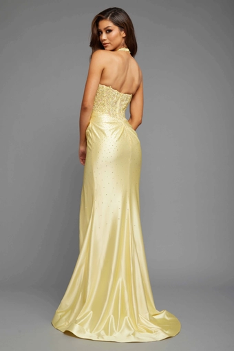 Vienna Prom V-7987 #7 backface vertical thumbnail