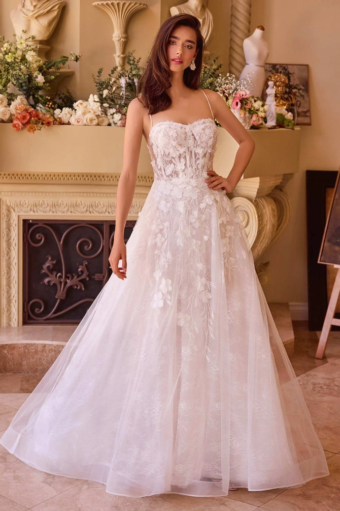 wl030__d_f.670.webp