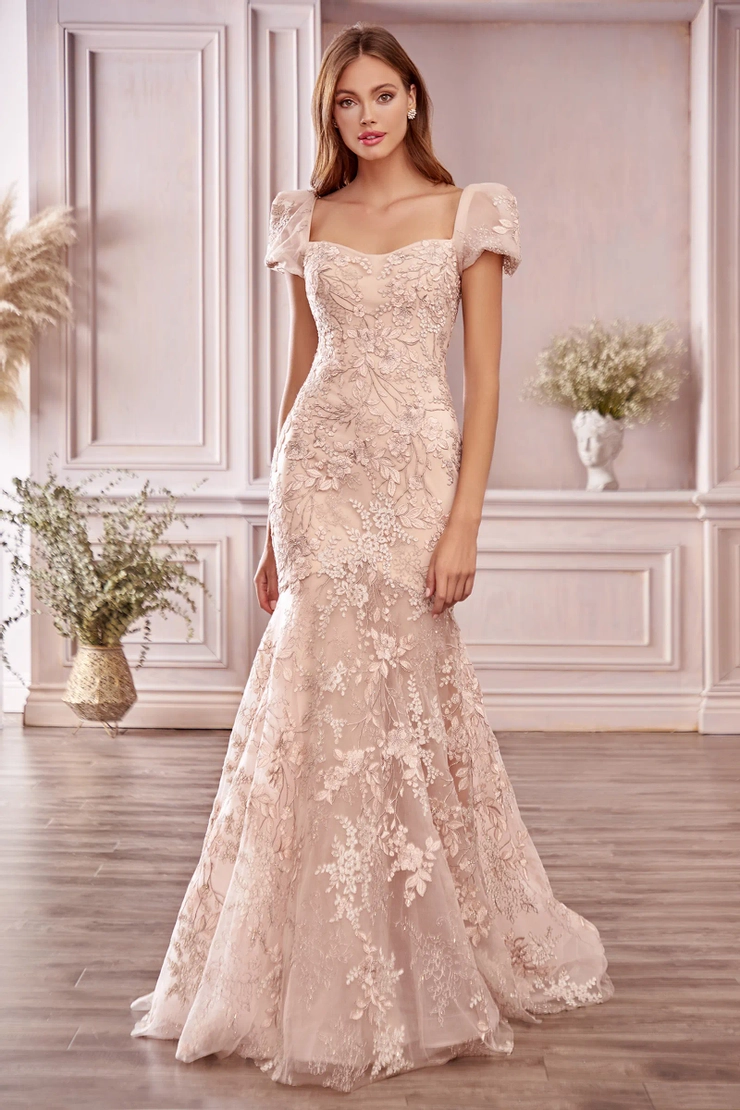 prom dresses michigan city Where to buy prom dresses in Michigan City, Indiana