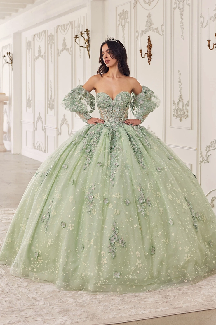 Ladivine by Cinderella Divine Style #15722 #1 frontface vertical picture