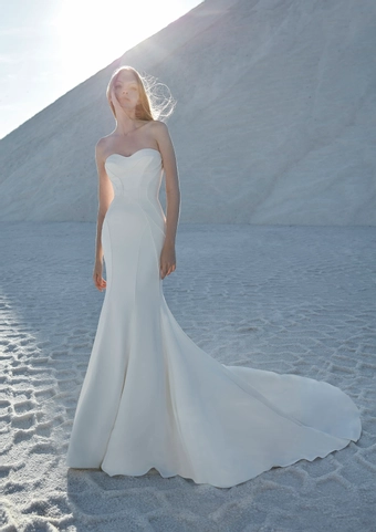Atelier Pronovias Astral #1 frontface vertical thumbnail