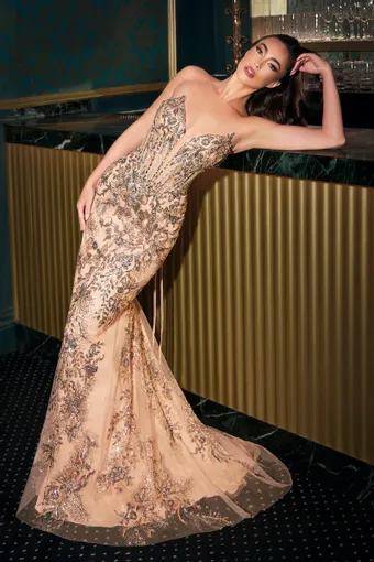 Ladivine by Cinderella Divine CD723 #1 frontface vertical thumbnail