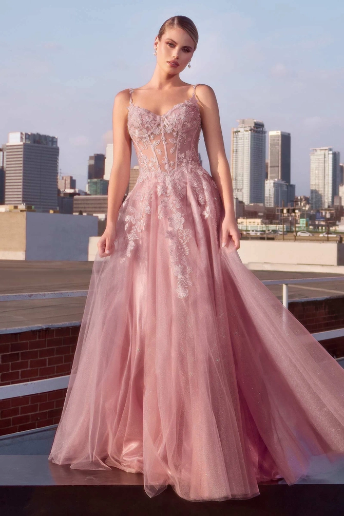 Discover Your Fairytale in the Enchanting Cinderella Divine Wedding Dress