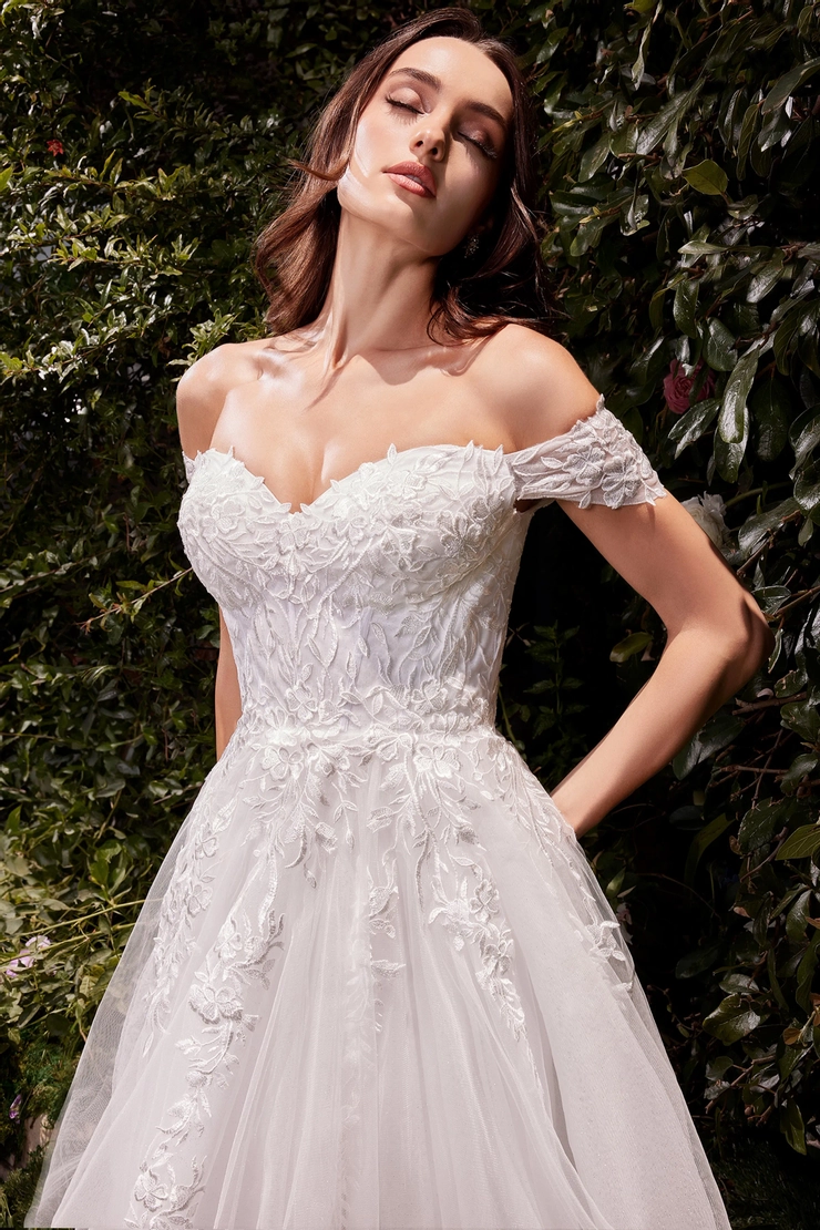 Ladivine by Cinderella Divine Style #C159W #3 frontface vertical cropped picture